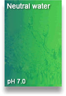 SNeutral water